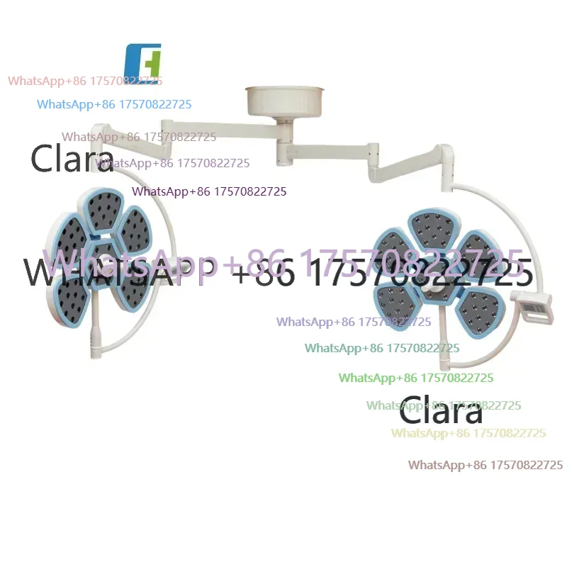 Clara Tools Store  Electricity - Power Tools Store reseña y precio